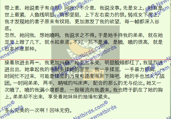 戰號 482 3.png